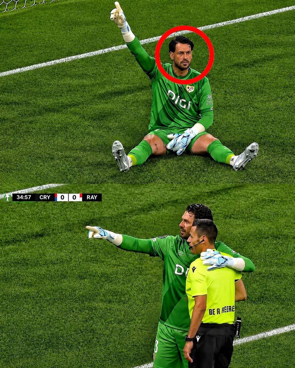 Augusto Batalla saves fan life