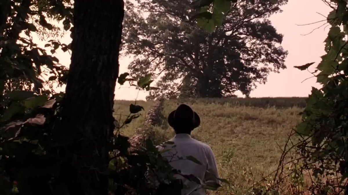 movie freedom scene at sunrise