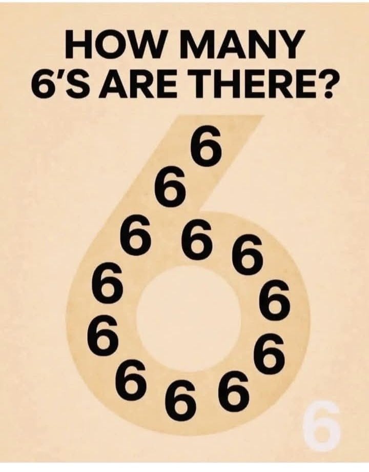 visual puzzle HOW MANY 6'S