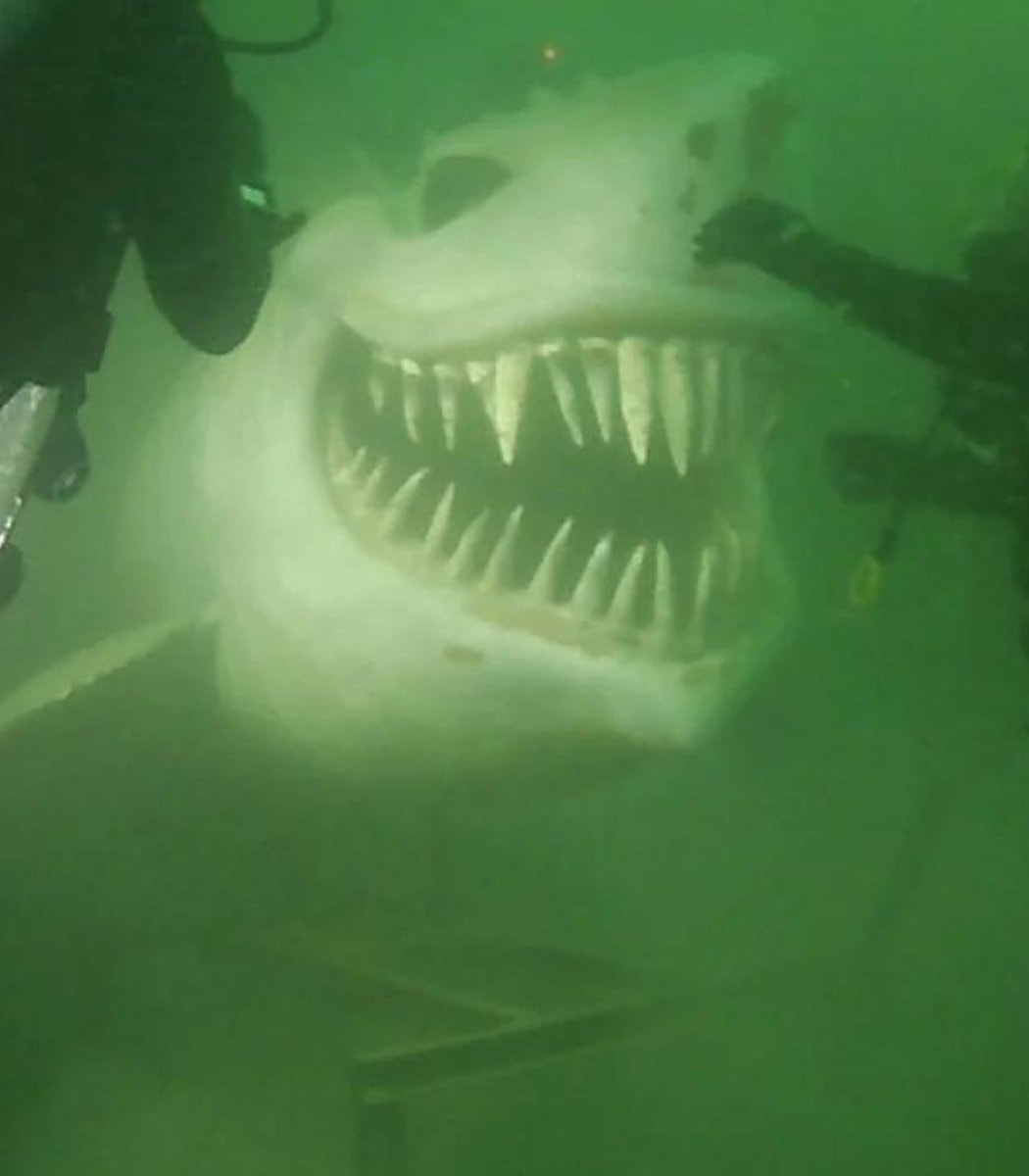 Shark statue Lake Neuchâtel