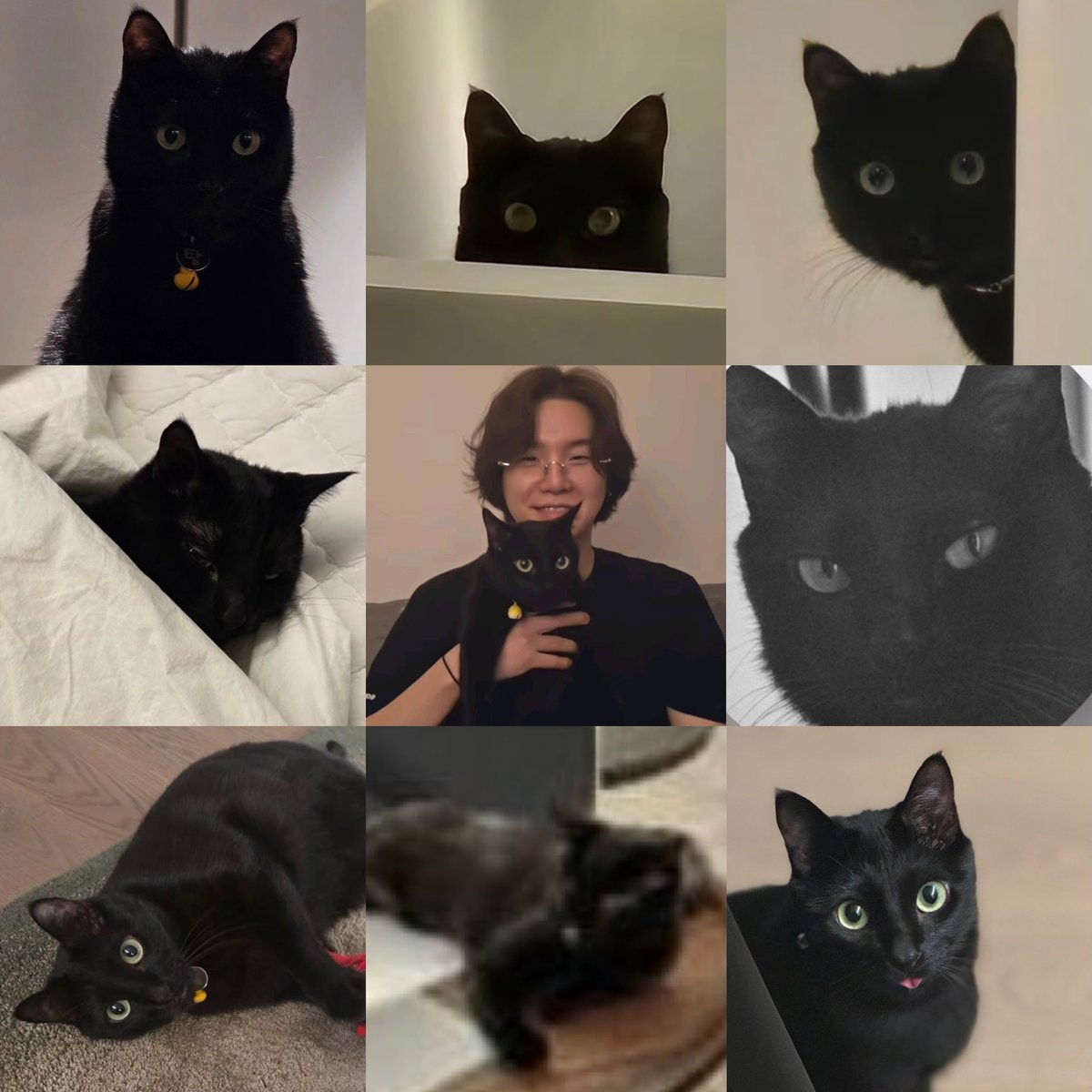 Yoongi with black cats collage