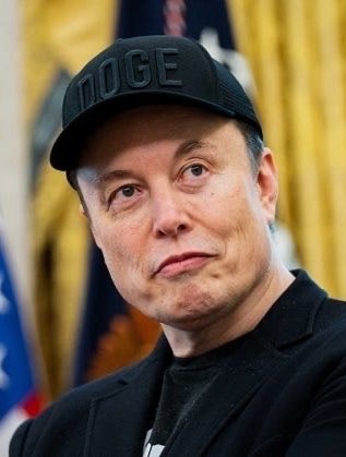 Elon Musk DOGE cap