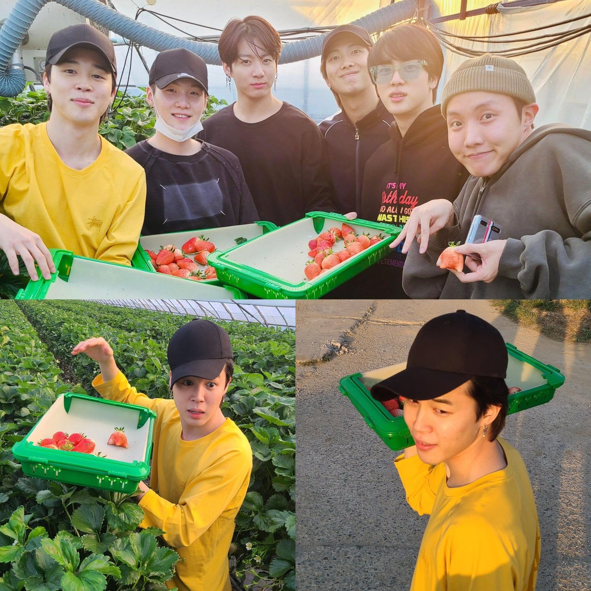 Taehyung strawberry field photo