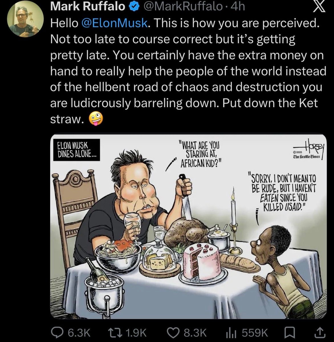 Mark Ruffalo Elon Musk USAID