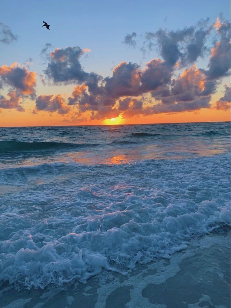 serene ocean sunrise serene ocean sunrise