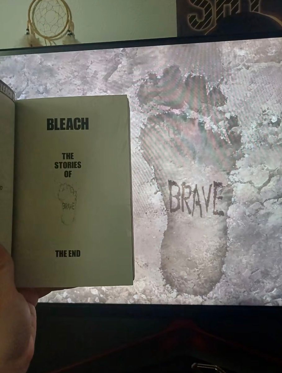 Bleach The Stories of Brave the End