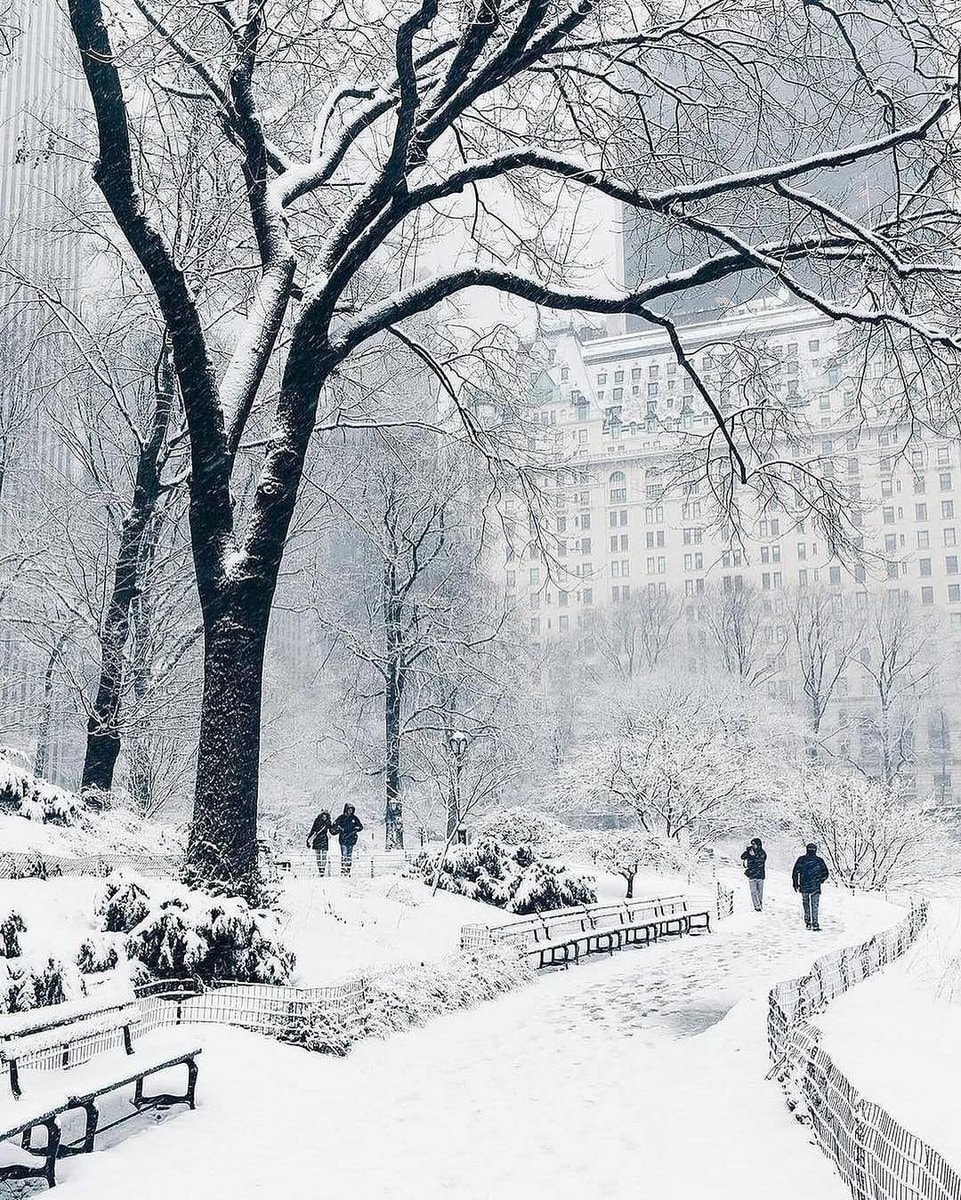 Central Park snowy fairytale scene (photo 2 of 3) Central Park snowy fairytale scene (photo 2 of 3)