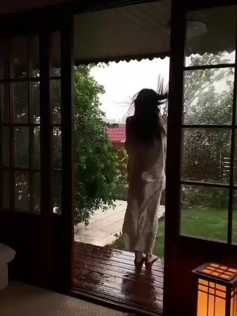 Rainy garden moment