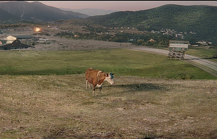 cow in field resident evil