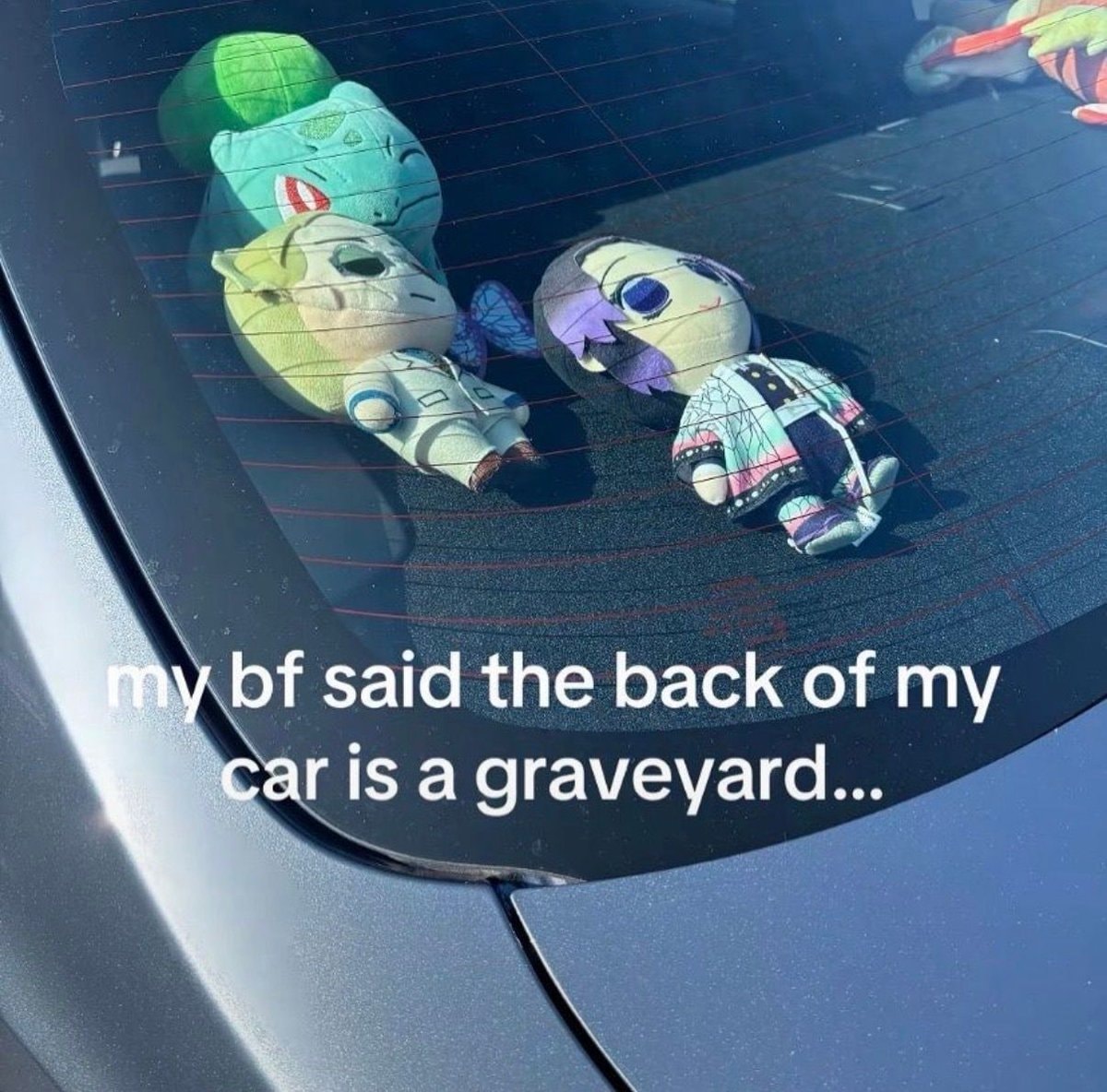 anime plushie graveyard