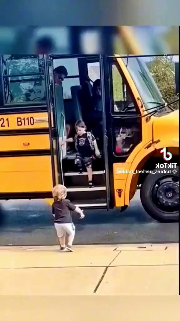 sibling love value