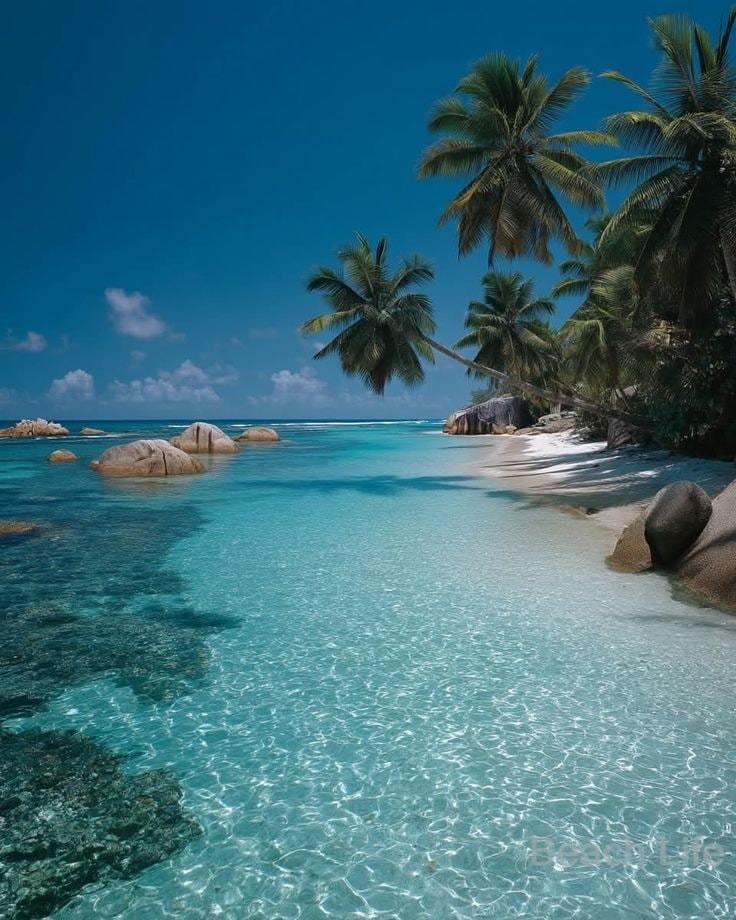 Maldives summer beach