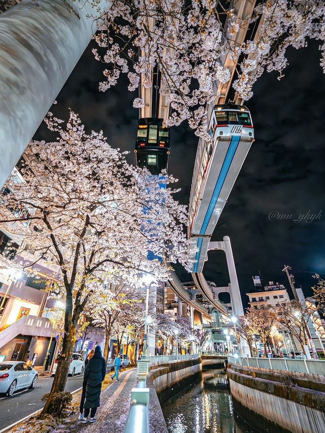Japan Monorail 🇯🇵 (photo 2 of 2)