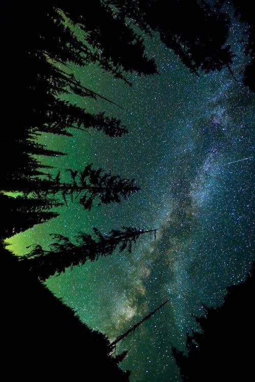 starry night sky