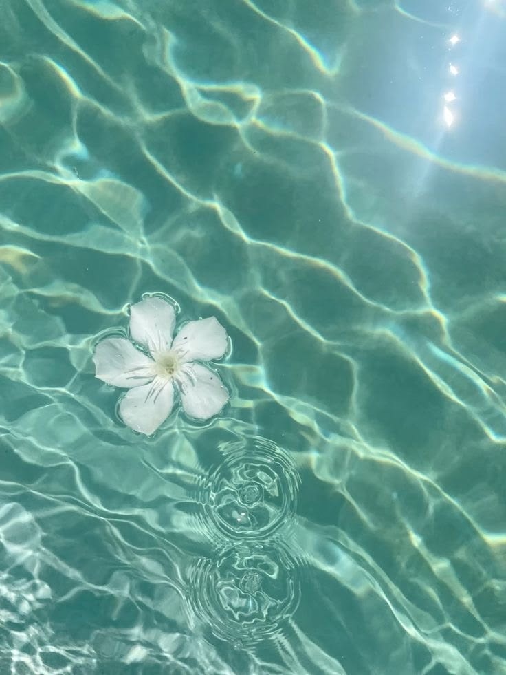 pink flower on blue water (photo 3 of 4)