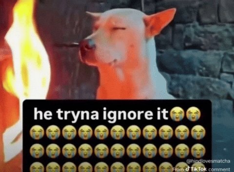 dog trying to ignore flame
