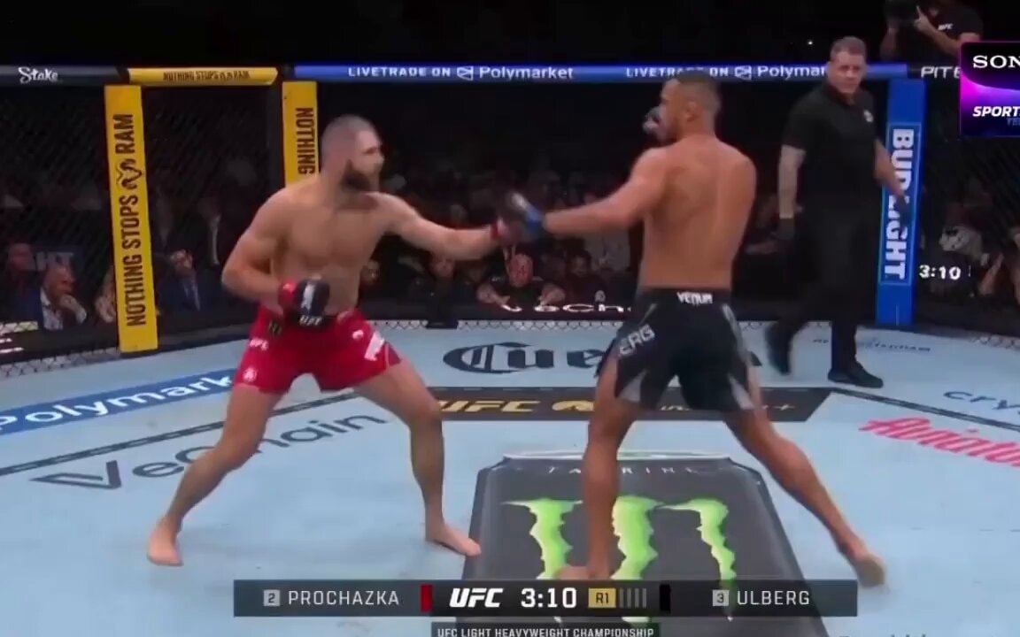 Jiri Prochazka UFC fight