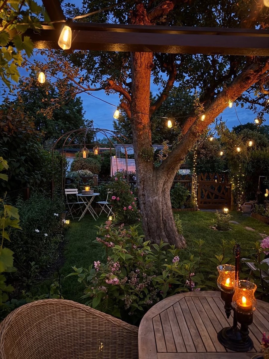 Fairy tale garden with string lights and hydrangeas (photo 2 of 4)