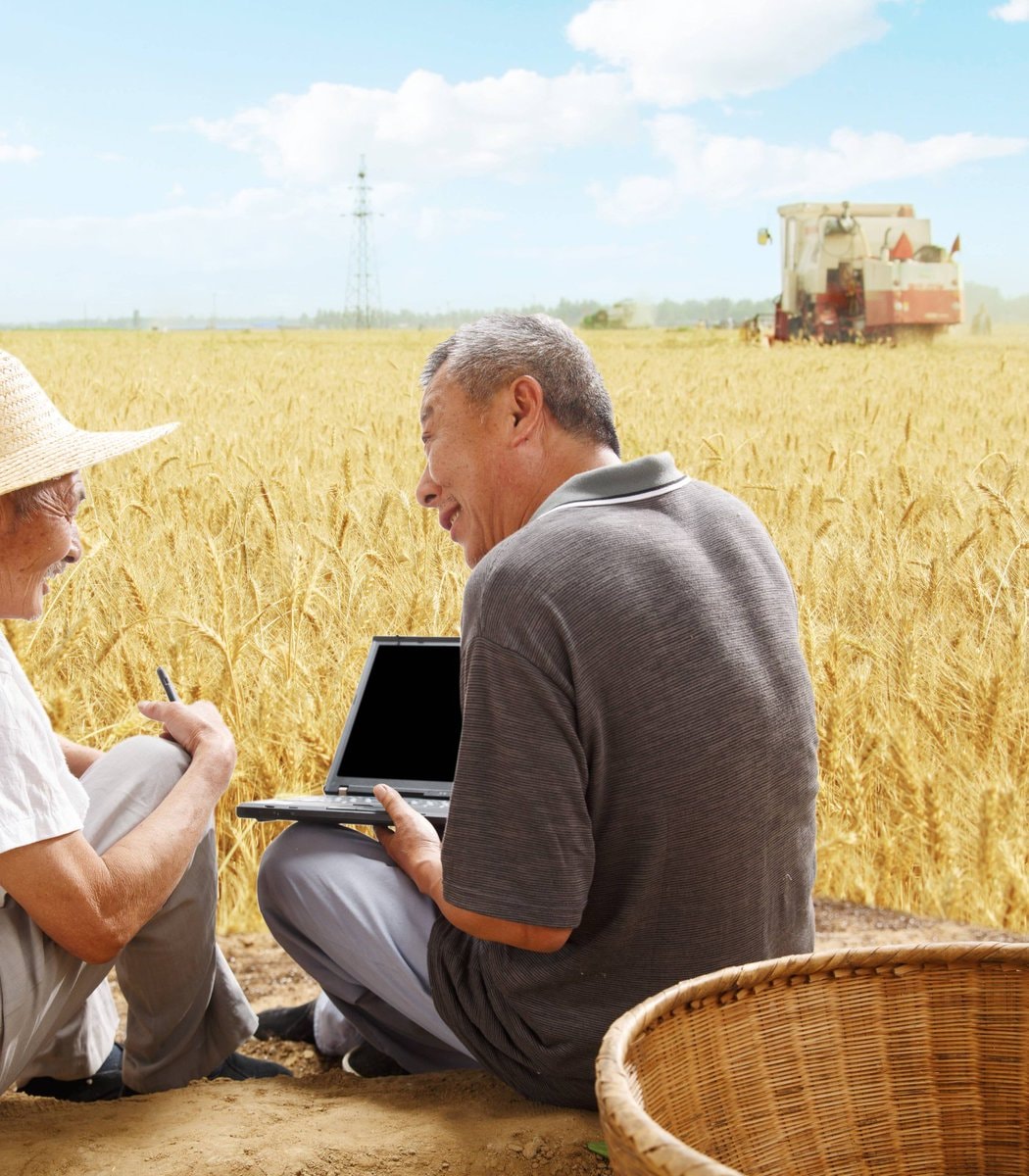 China farmer AI chatbot crop loss (photo 2 of 2)