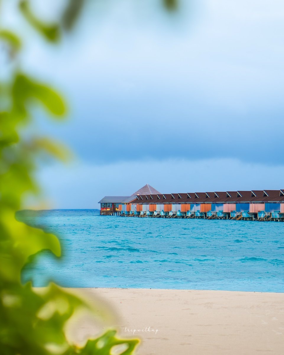 Maldives Overwater Bungalows (photo 4 of 4)