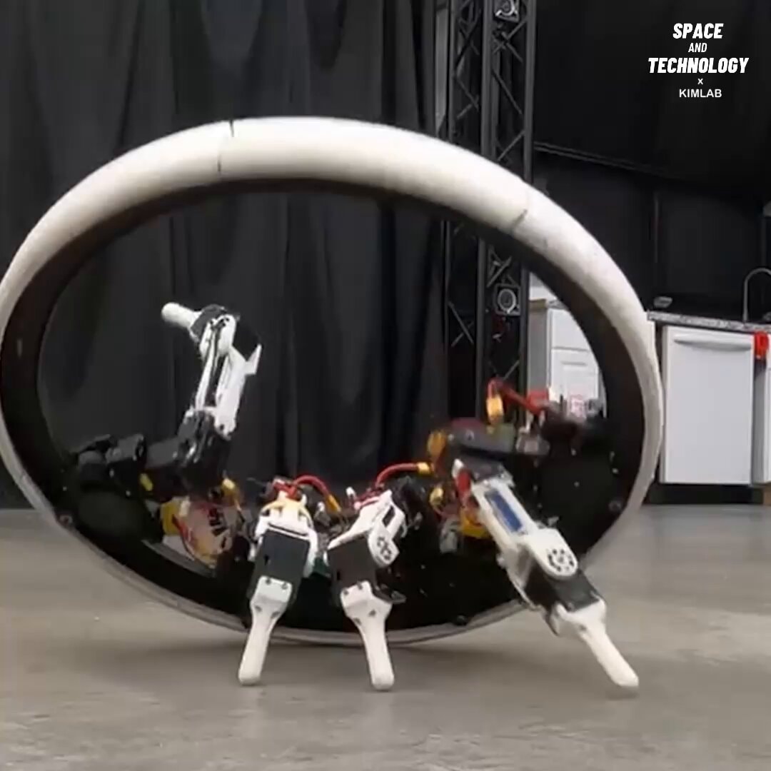 Ringbot Quad upgrade by Professor Joohyung Kim
