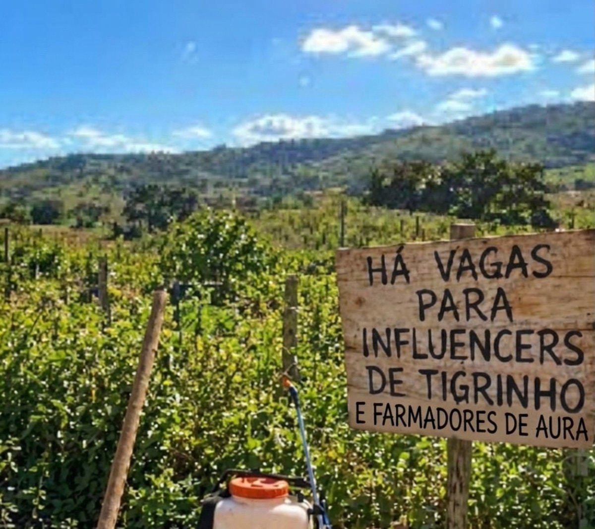 tigrinho influencer job sign
