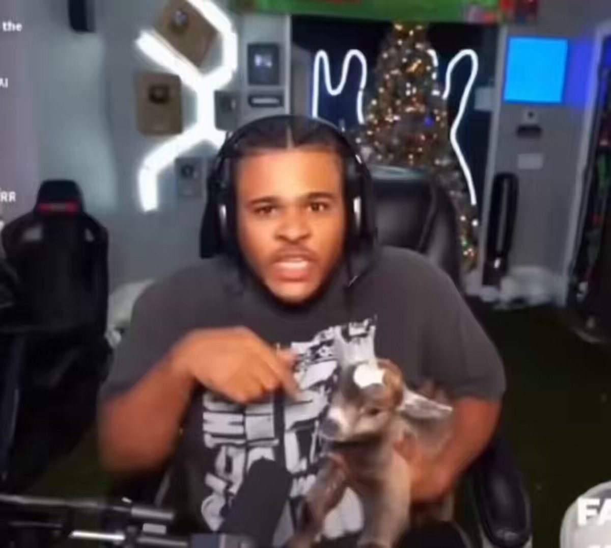 Fanum baby goat freestyle Fanum baby goat freestyle