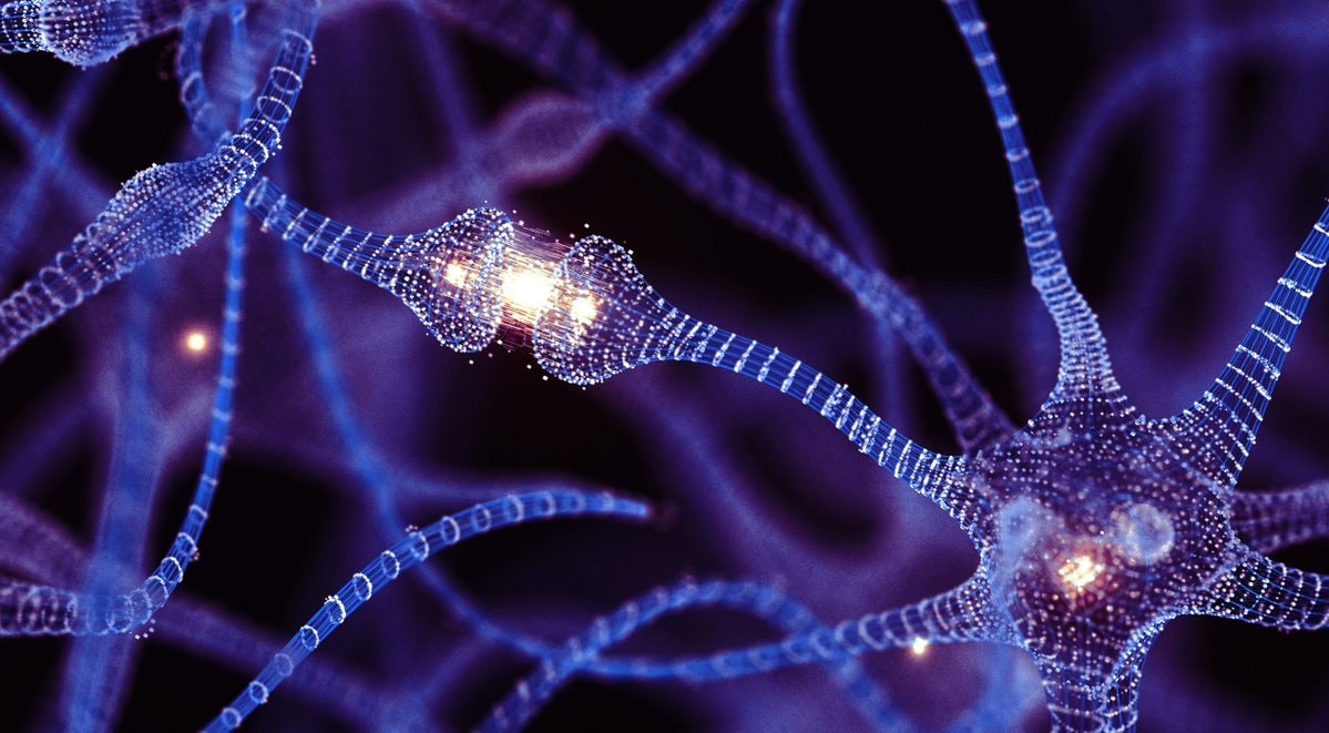 Study on brain cell growth from silence Study on brain cell growth from silence