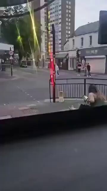 UK dog protection stabbing prediction
