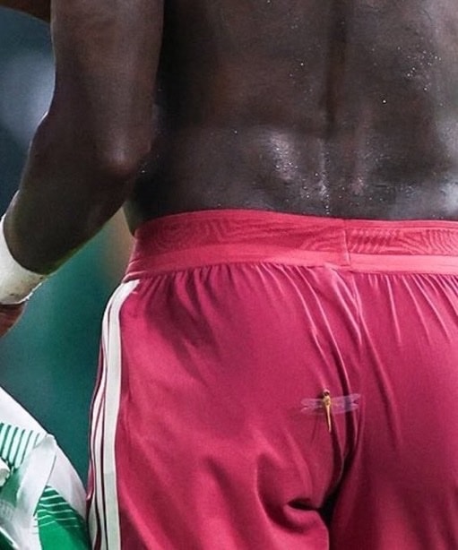 Vinicius match bug