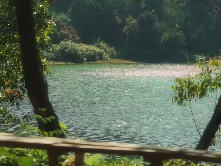 Guitar strings buzz lake scene