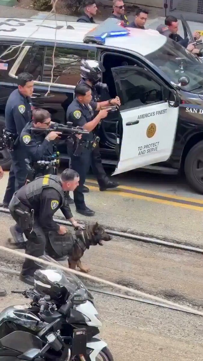 San Diego police dog incident
