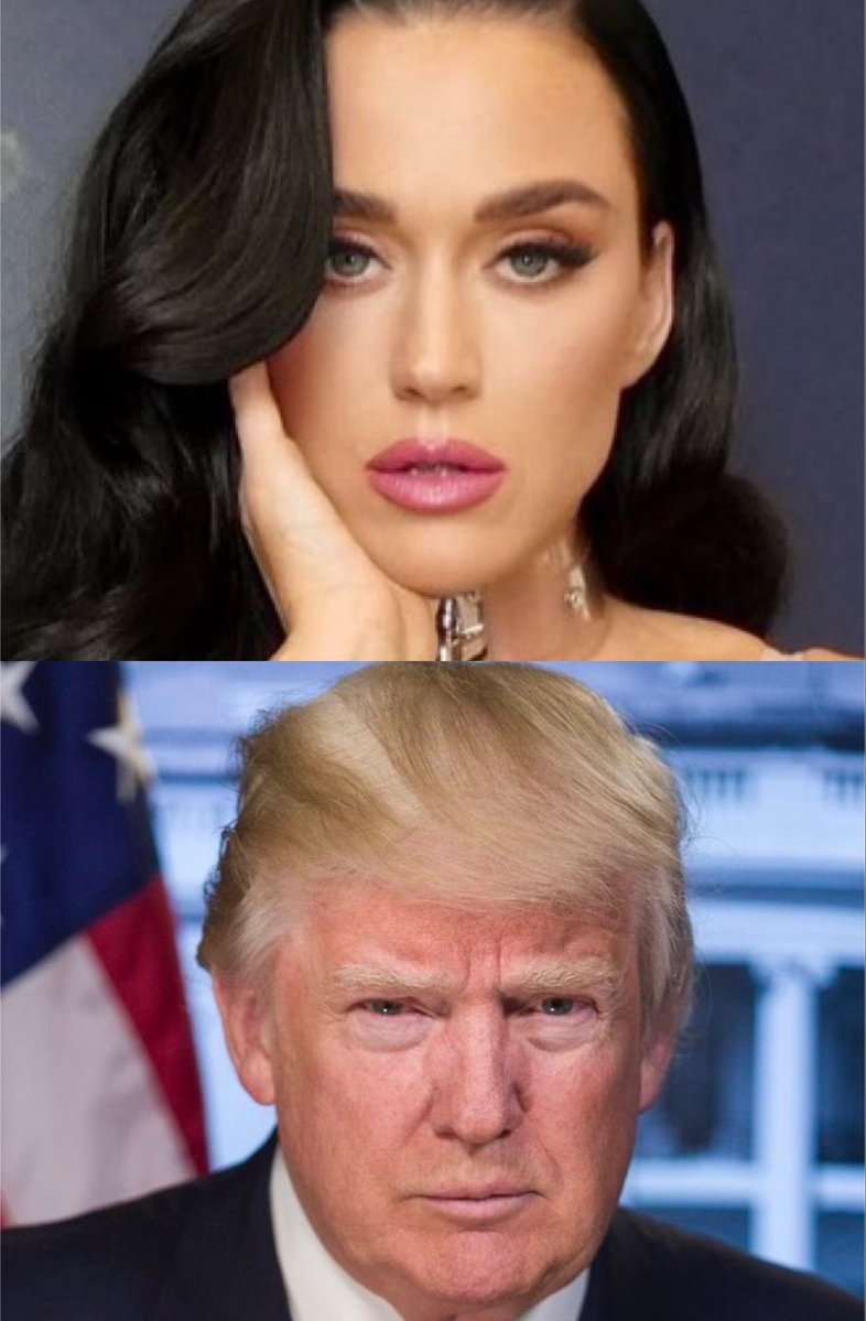 Katy Perry White House Firework