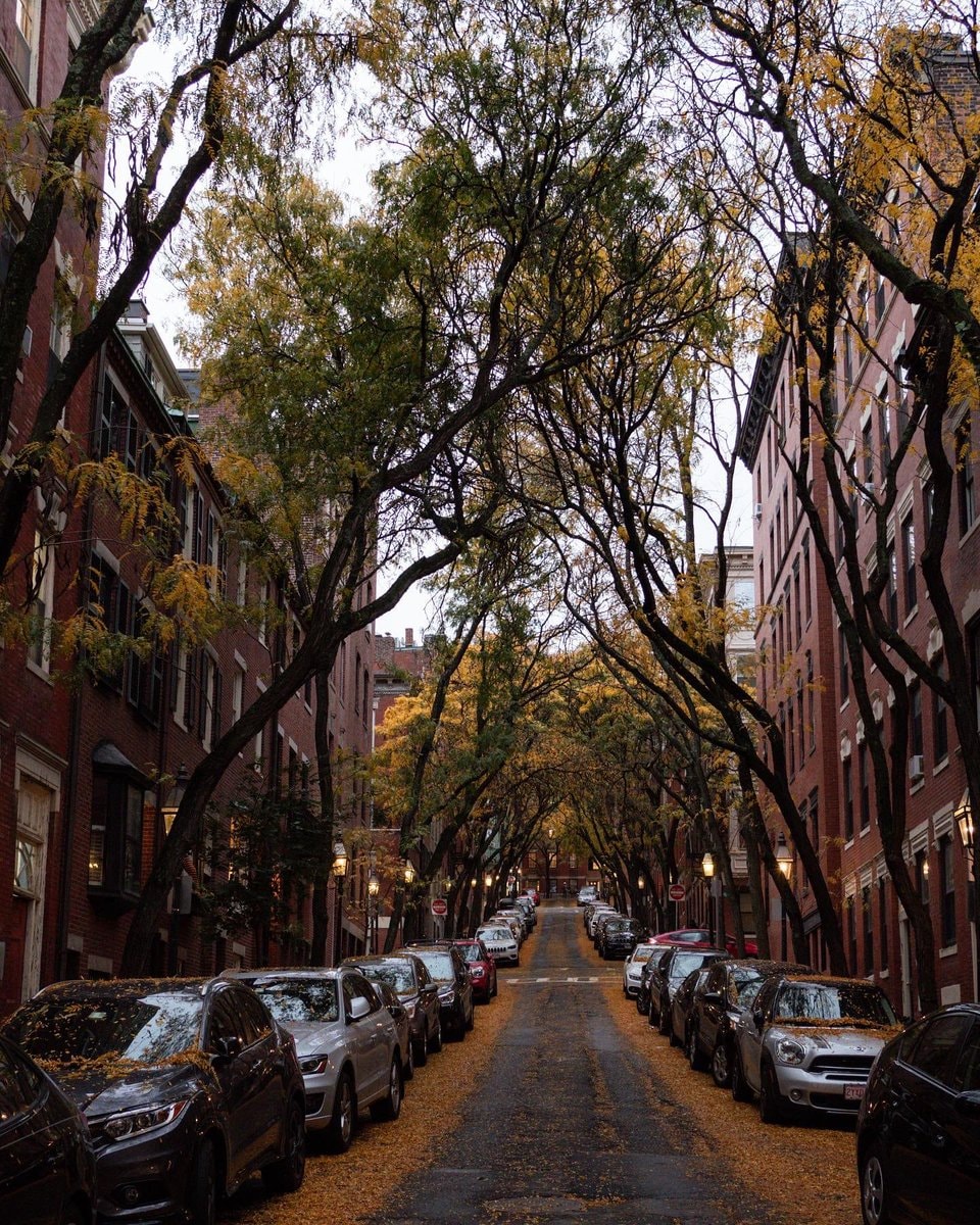 Autumn in Boston (photo 3 of 4)