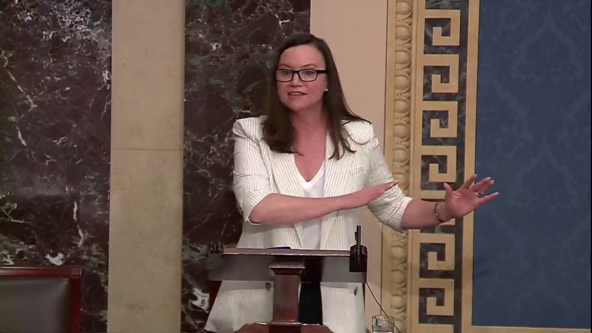 Ashley Moody Florida Senate election