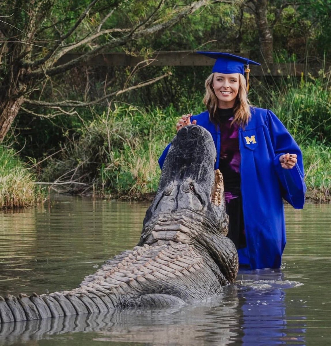 Kat 14-foot alligator graduation photos (photo 2 of 2)