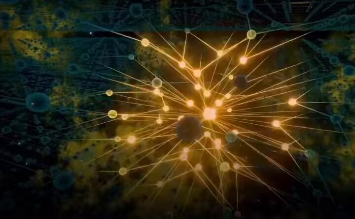 Amygdala stress response explained