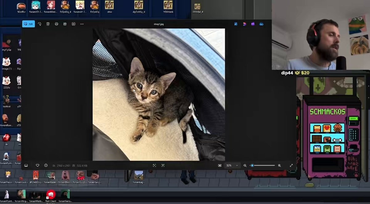 Forsen rescues kitten in Cyprus