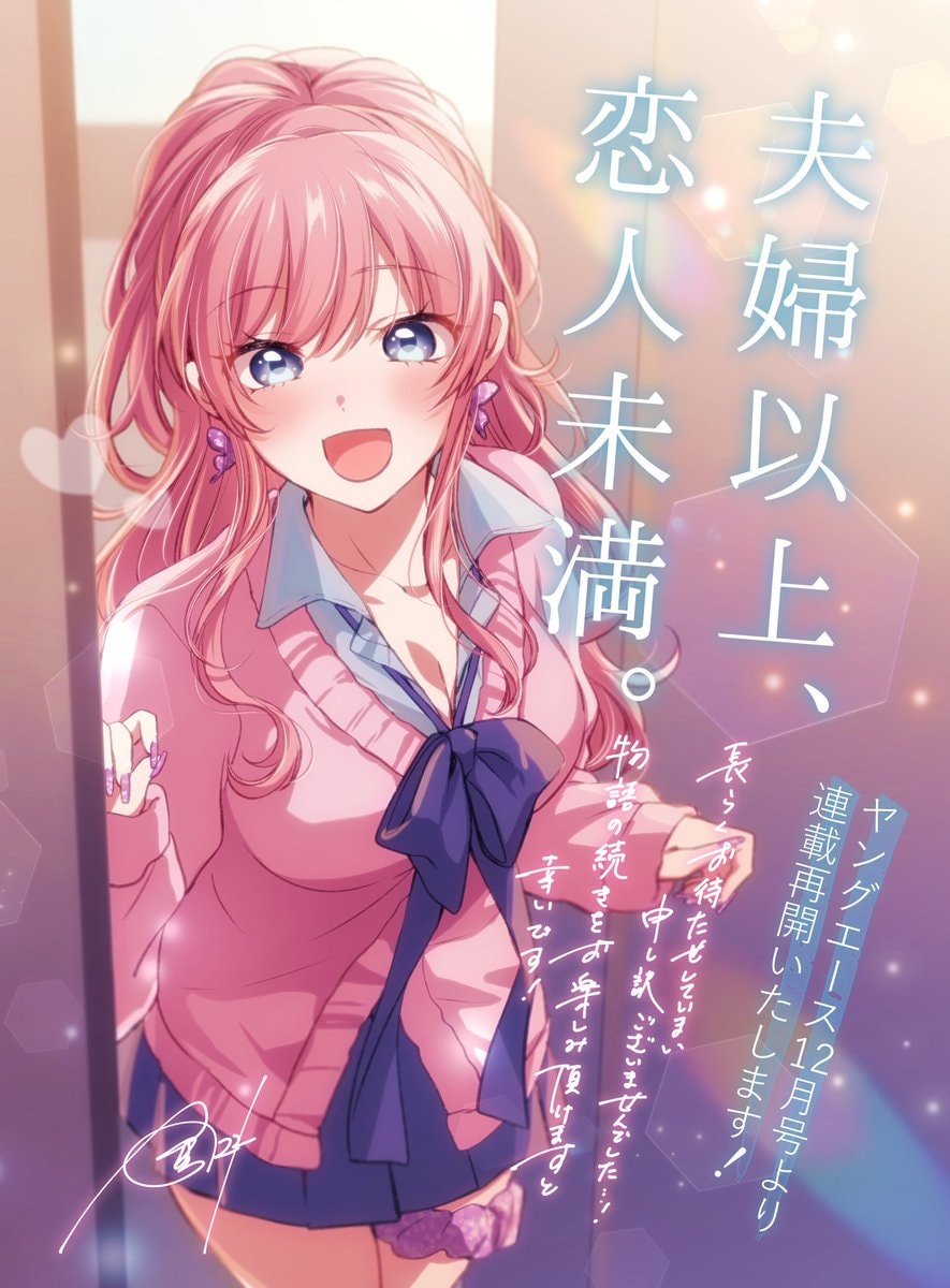 MORE THAN A MARRIED COUPLE, BUT NOT LOVERS serialization