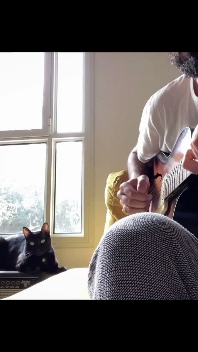 Badu The Singing Cat blues duet