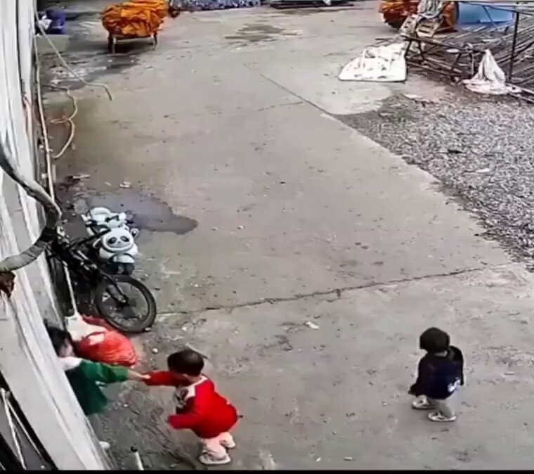 Big sister shields siblings from forklift