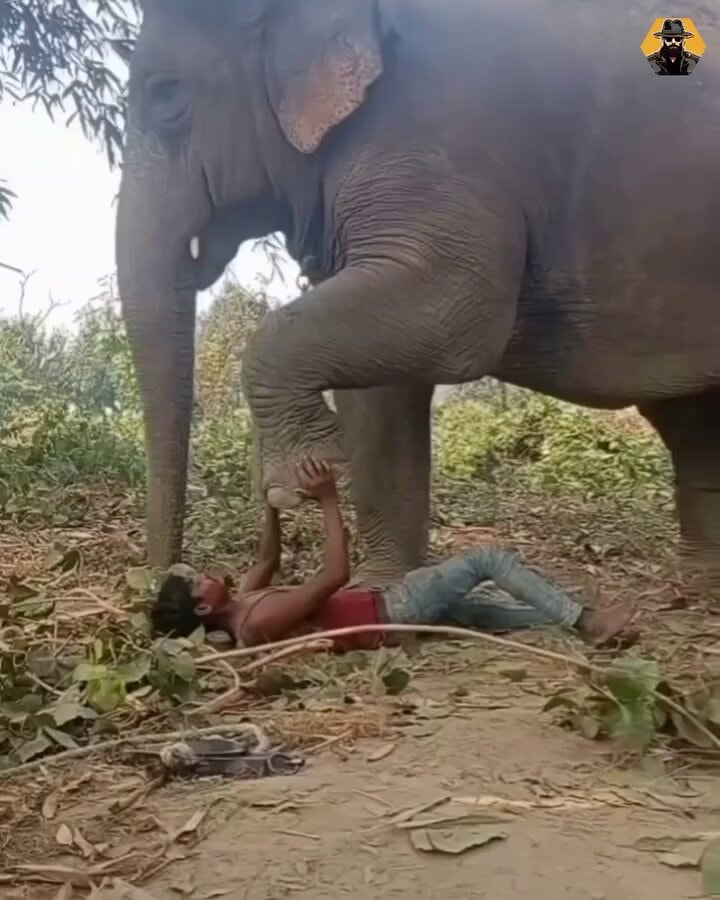 Funny moments captured by camera