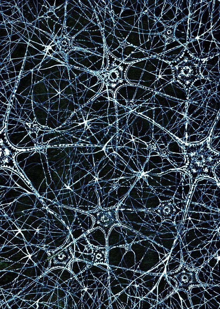 brain quantum vibrations hypothesis (photo 2 of 2)