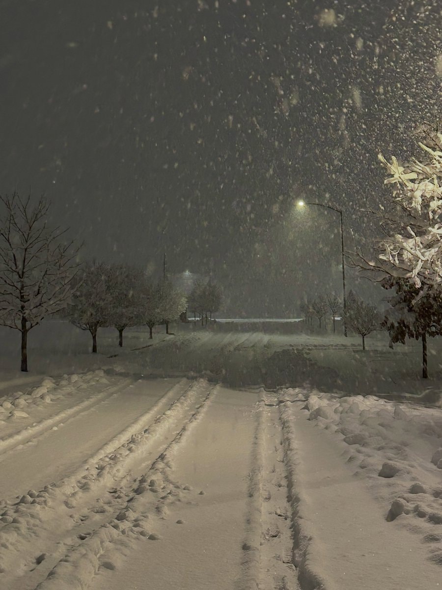 winter night