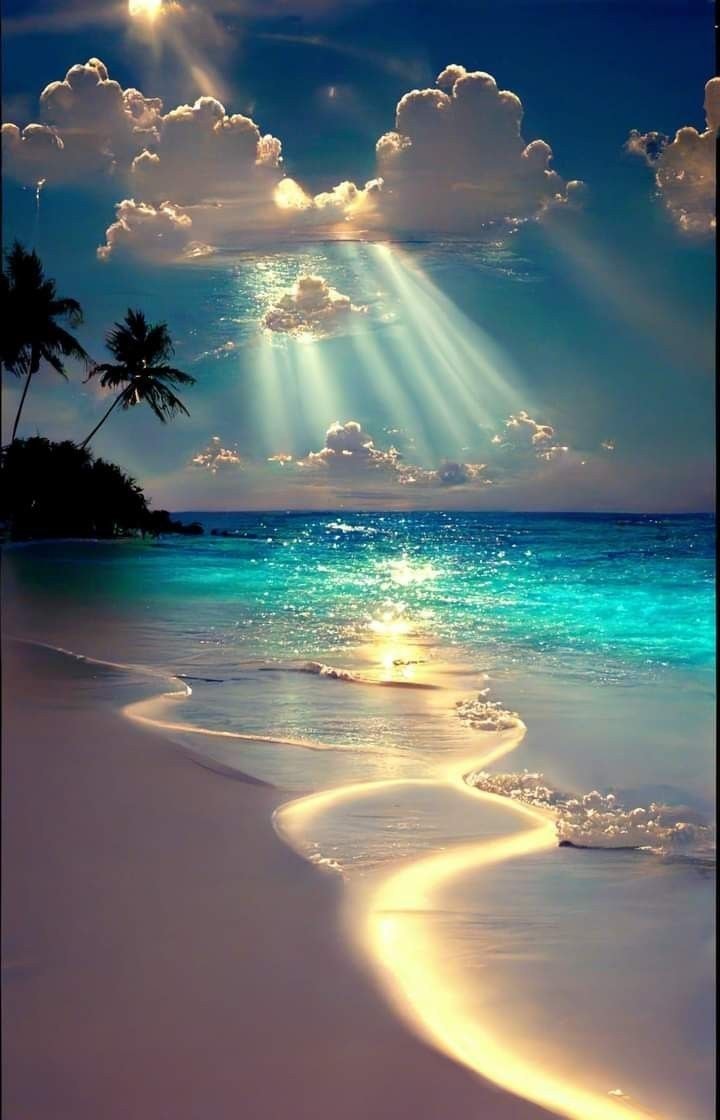 Serene beach with turquoise water and golden light