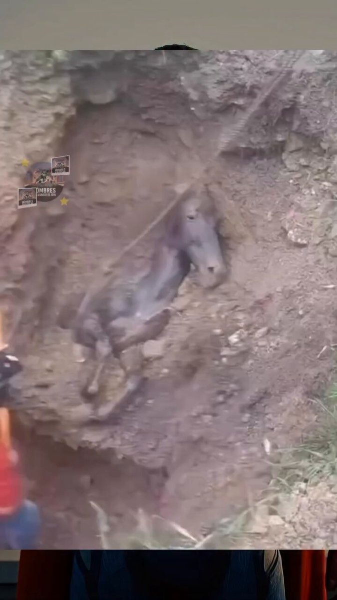 horse stuck in dirt pit