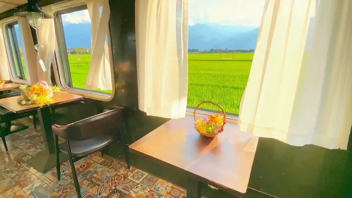scenic train ride view