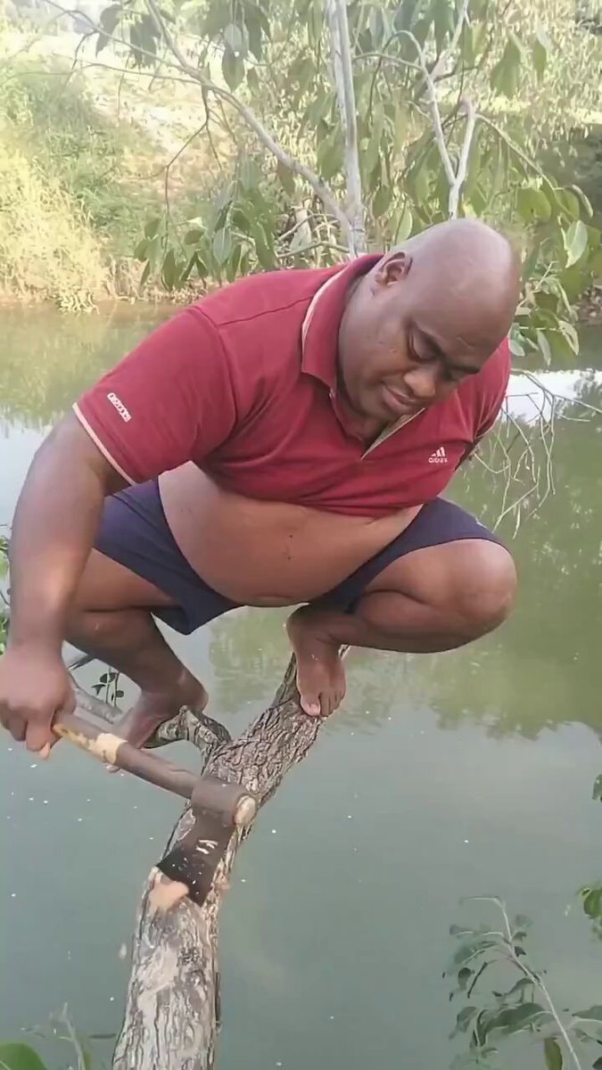 Man chopping tree branch over water
