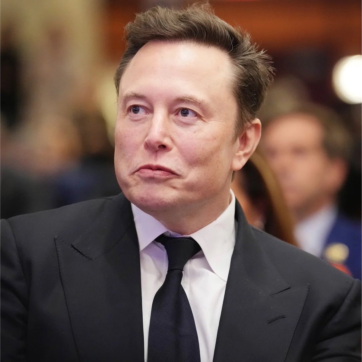 Elon Musk SpaceXAI Grok 4.6 (photo 1 of 2)