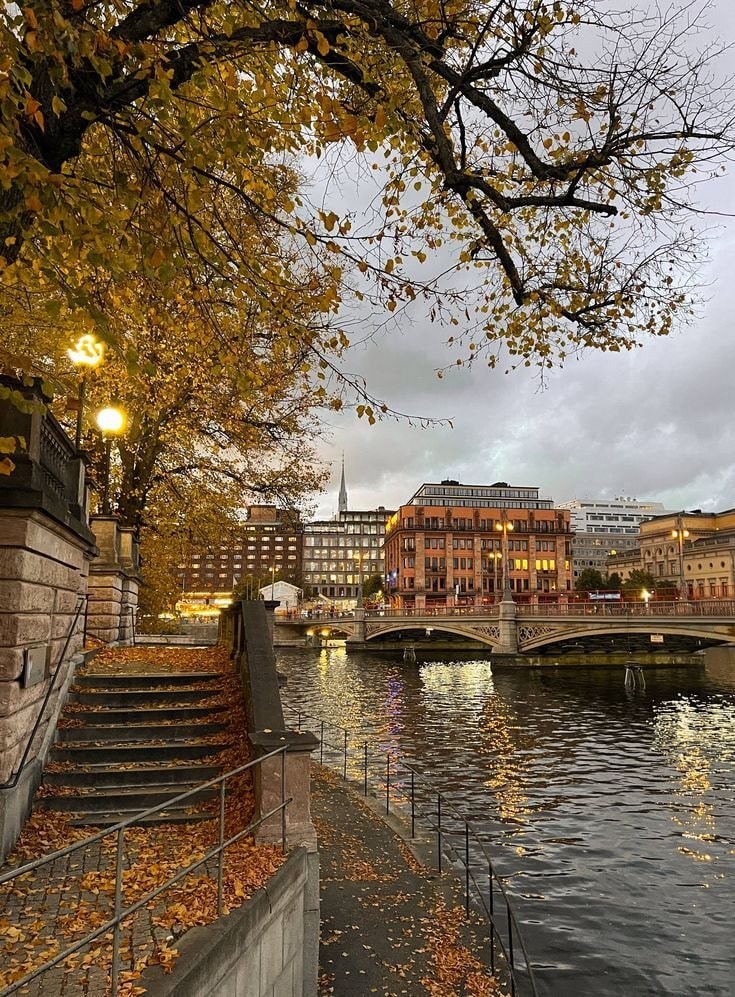 Autumn in Stockholm Sweden (photo 2 of 4)